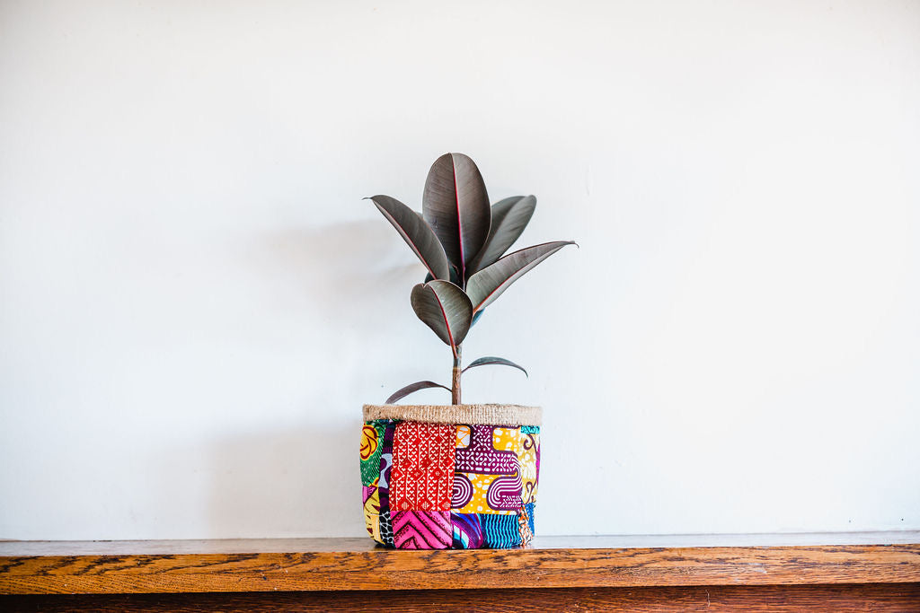 Recycled Plant Holders/Storage Containers