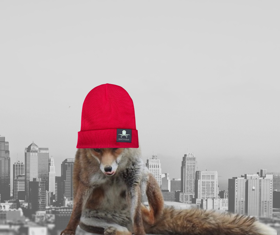 BIG RED. Bonnets écologiques. Fabriqués à 100 % en coton issu de l'agriculture biologique.