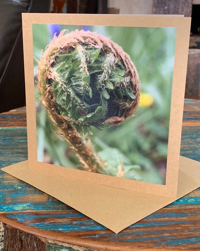 Easter card, Card of hope, fern card, mothers day, new start, Handmade card. Birthday card, Condolence card, card for gardener, new home