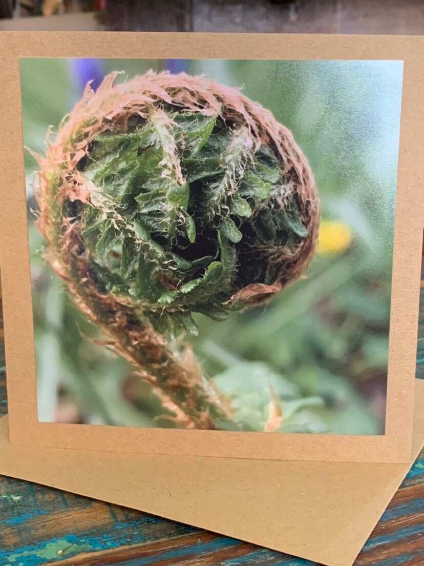 Easter card, Card of hope, fern card, mothers day, new start, Handmade card. Birthday card, Condolence card, card for gardener, new home