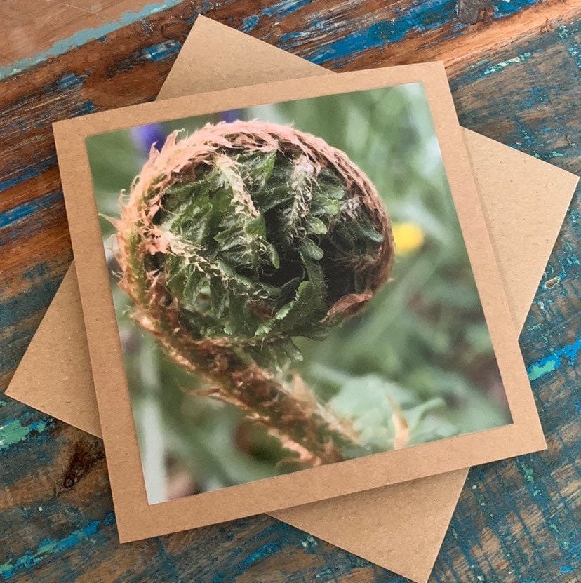 Easter card, Card of hope, fern card, mothers day, new start, Handmade card. Birthday card, Condolence card, card for gardener, new home