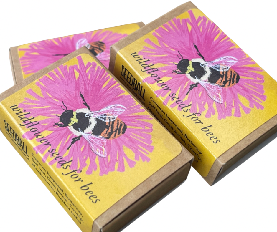 Save The Bees. 3x matchbox sized seed bombs. Great as little gifts or to re-wild your garden. Bee friendly plants.
