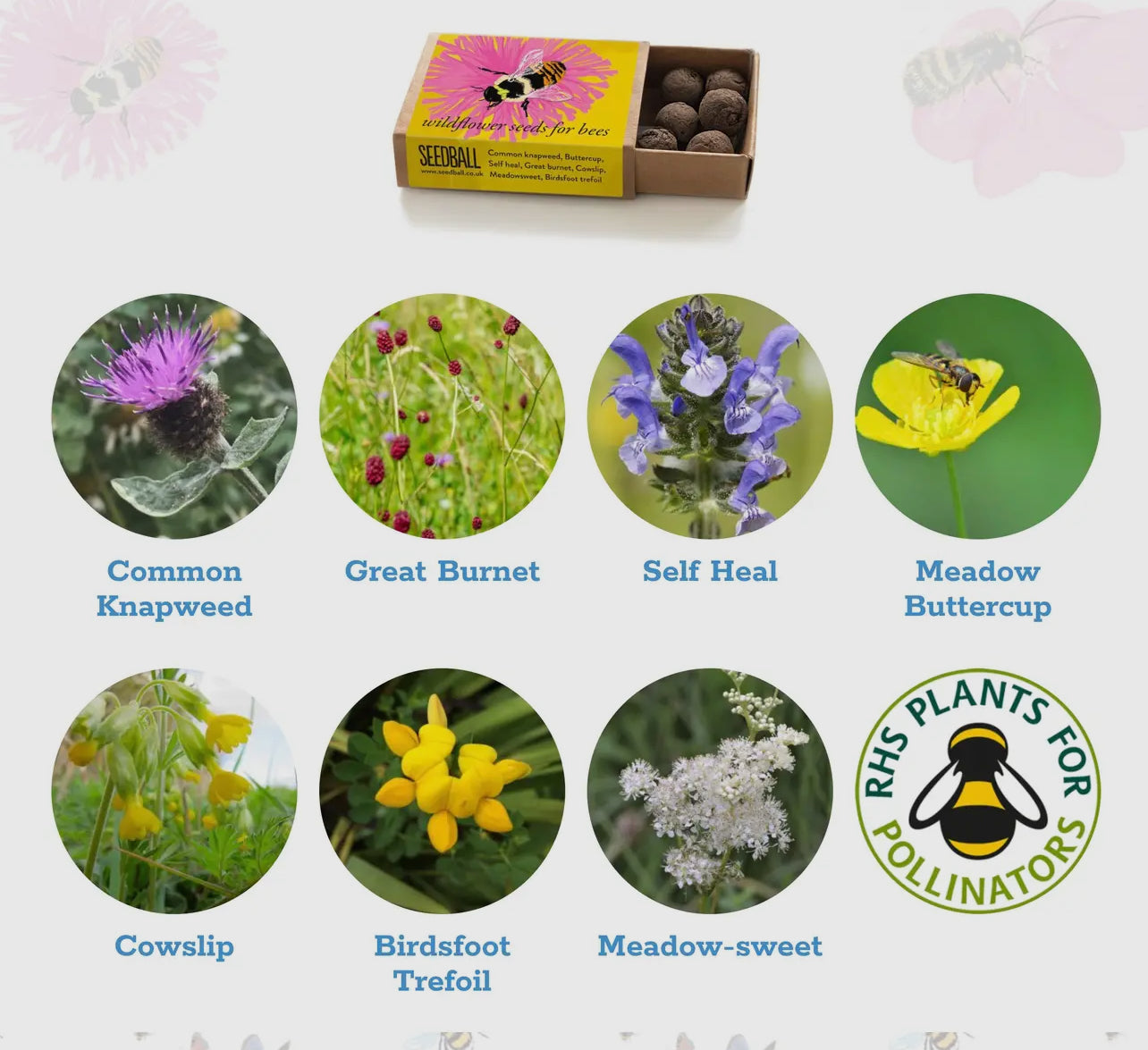 Save The Bees. 3x matchbox sized seed bombs. Great as little gifts or to re-wild your garden. Bee friendly plants.