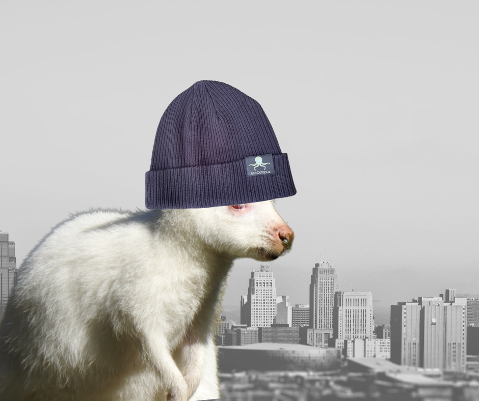 PLUM. Umweltfreundliche Beanies. Hergestellt aus 100 % biologisch angebauter Baumwolle.