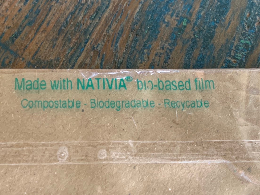 Seagull card, recycled card, handmade card, English wildlife photo card, nature card, blank card, gift for her, gift for him, homemade card