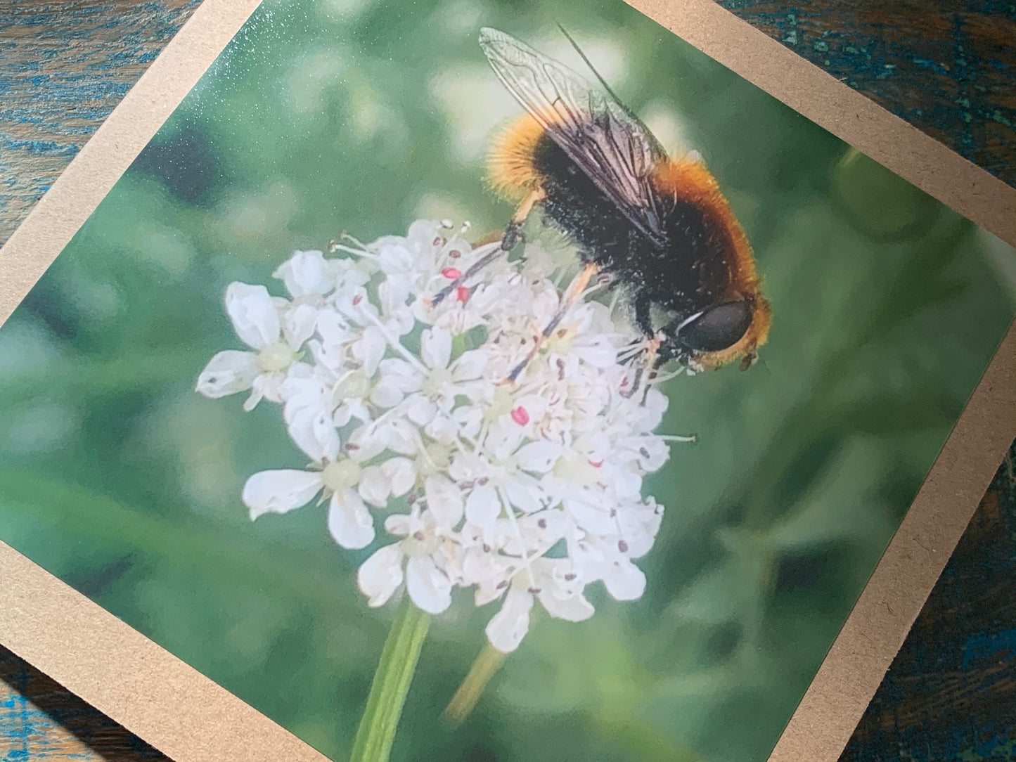Bee card, recycled card, birthday card. Eco friendly card. Handmade card. Thank you card, blank gift card, English nature card, gift for her