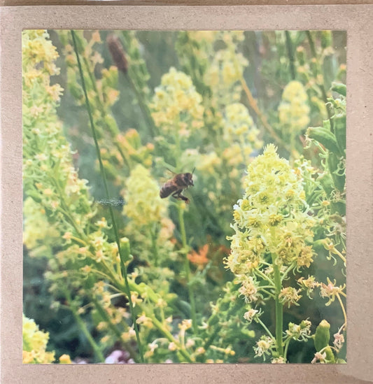Bee card, recycled card, birthday card. Eco friendly card. Handmade card. Thank you card, blank gift card, English nature card, gift for her