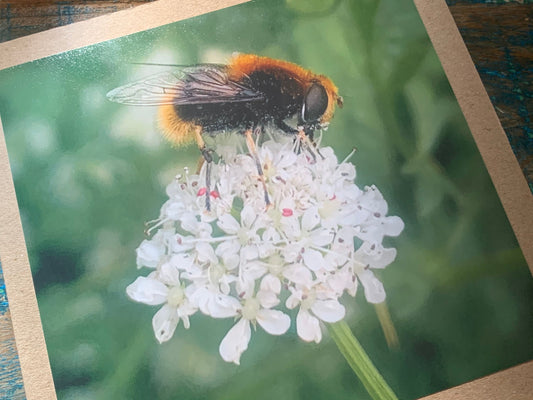 Bee card, recycled card, birthday card. Eco friendly card. Handmade card. Thank you card, blank gift card, English nature card, gift for her