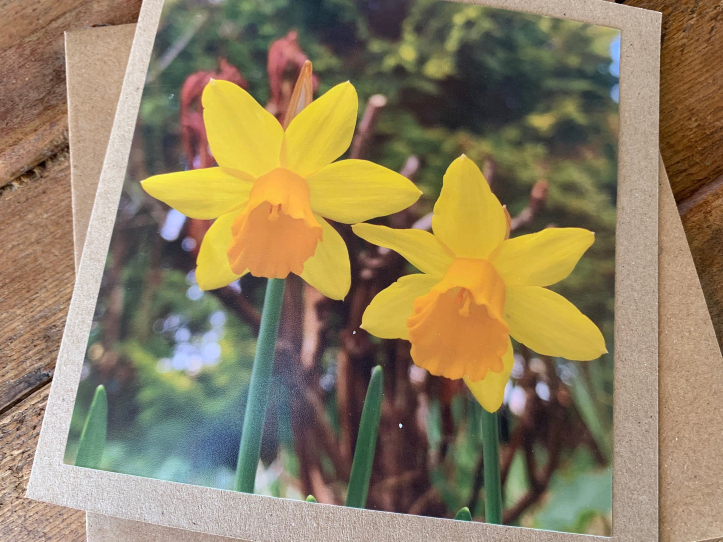 Daffodil card, flower card, recycled card, birthday card, nature card. Eco friendly card. Handmade card. Easter card, Easter present