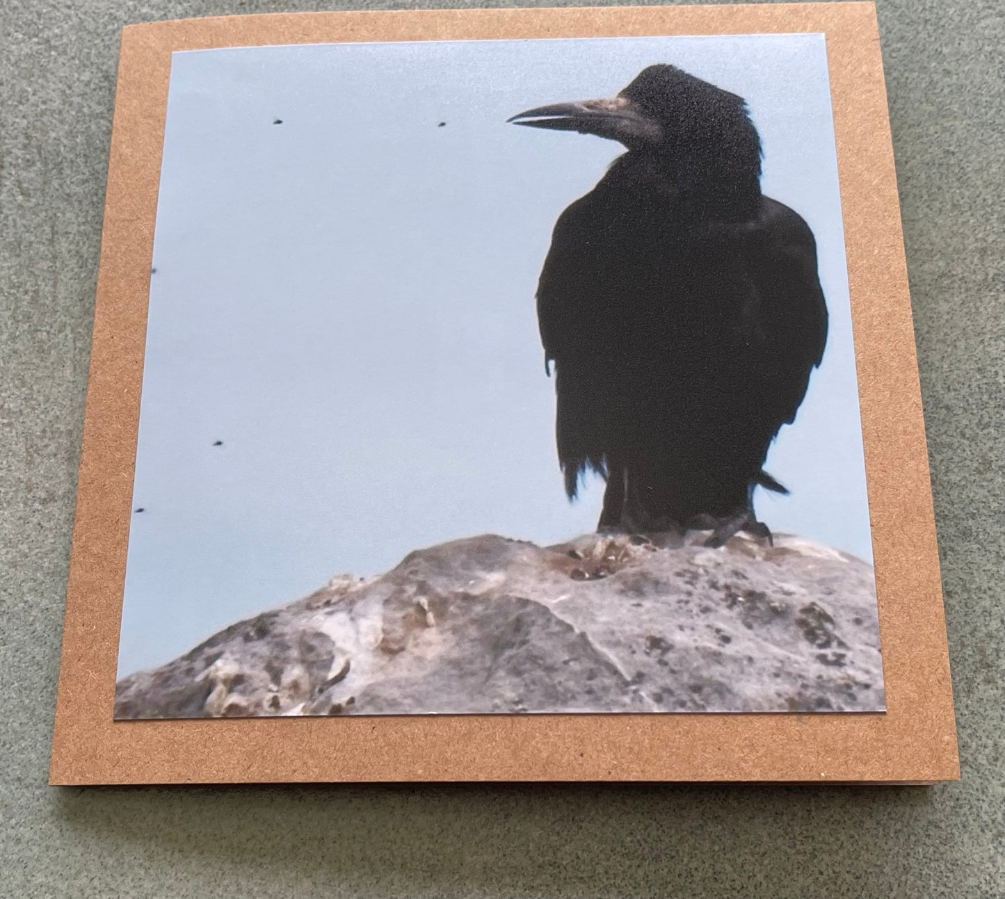 Watching flies - meditation card :) Crow card, recycled card, birthday card, Eco friendly card. Handmade card. Unusual card, blank gift card