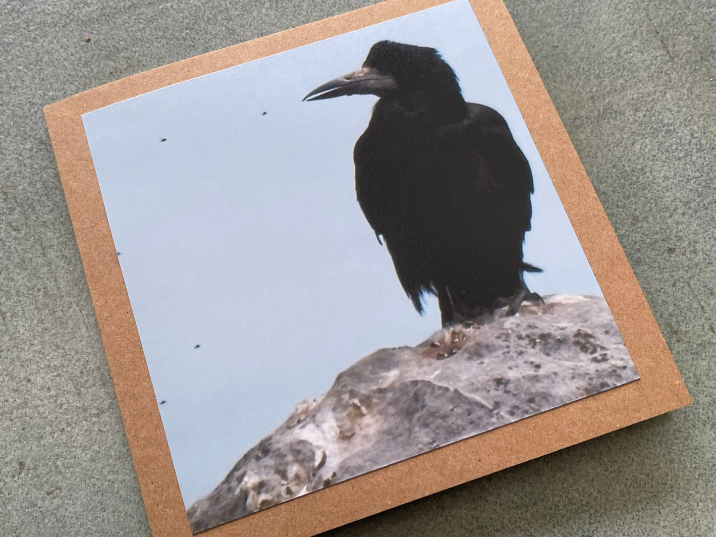 Watching flies - meditation card :) Crow card, recycled card, birthday card, Eco friendly card. Handmade card. Unusual card, blank gift card