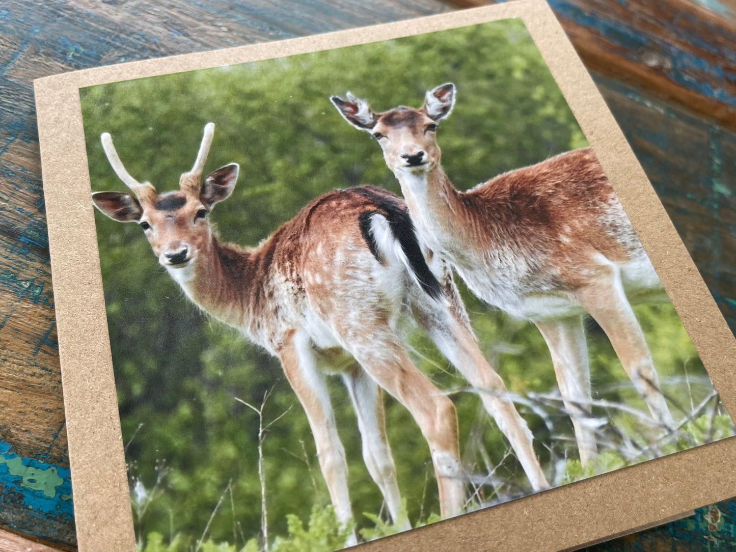 Deer card. Get well soon card, recycled card, birthday card, Eco friendly card. Handmade card. Sympathy card, thank you card, wildlife card