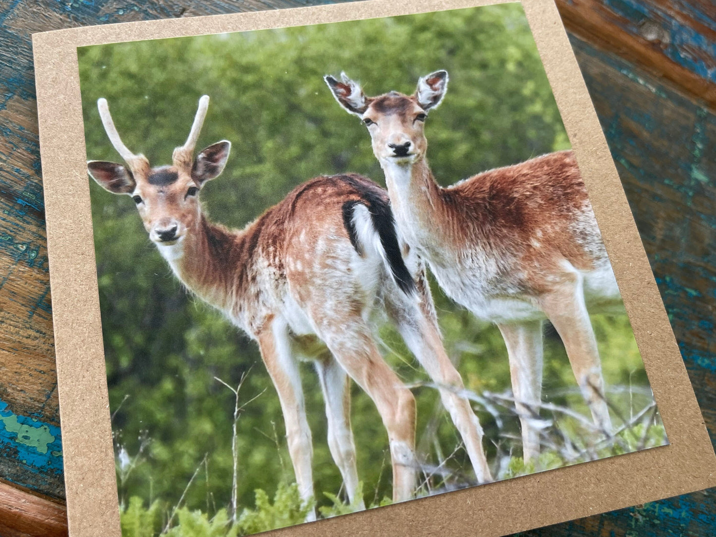 Deer card. Get well soon card, recycled card, birthday card, Eco friendly card. Handmade card. Sympathy card, thank you card, wildlife card