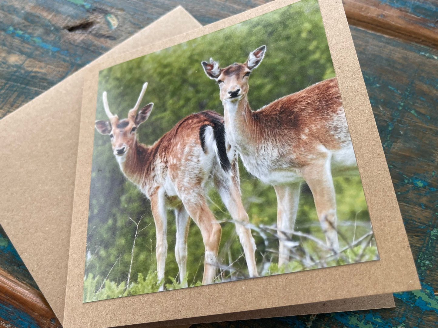 Deer card. Get well soon card, recycled card, birthday card, Eco friendly card. Handmade card. Sympathy card, thank you card, wildlife card
