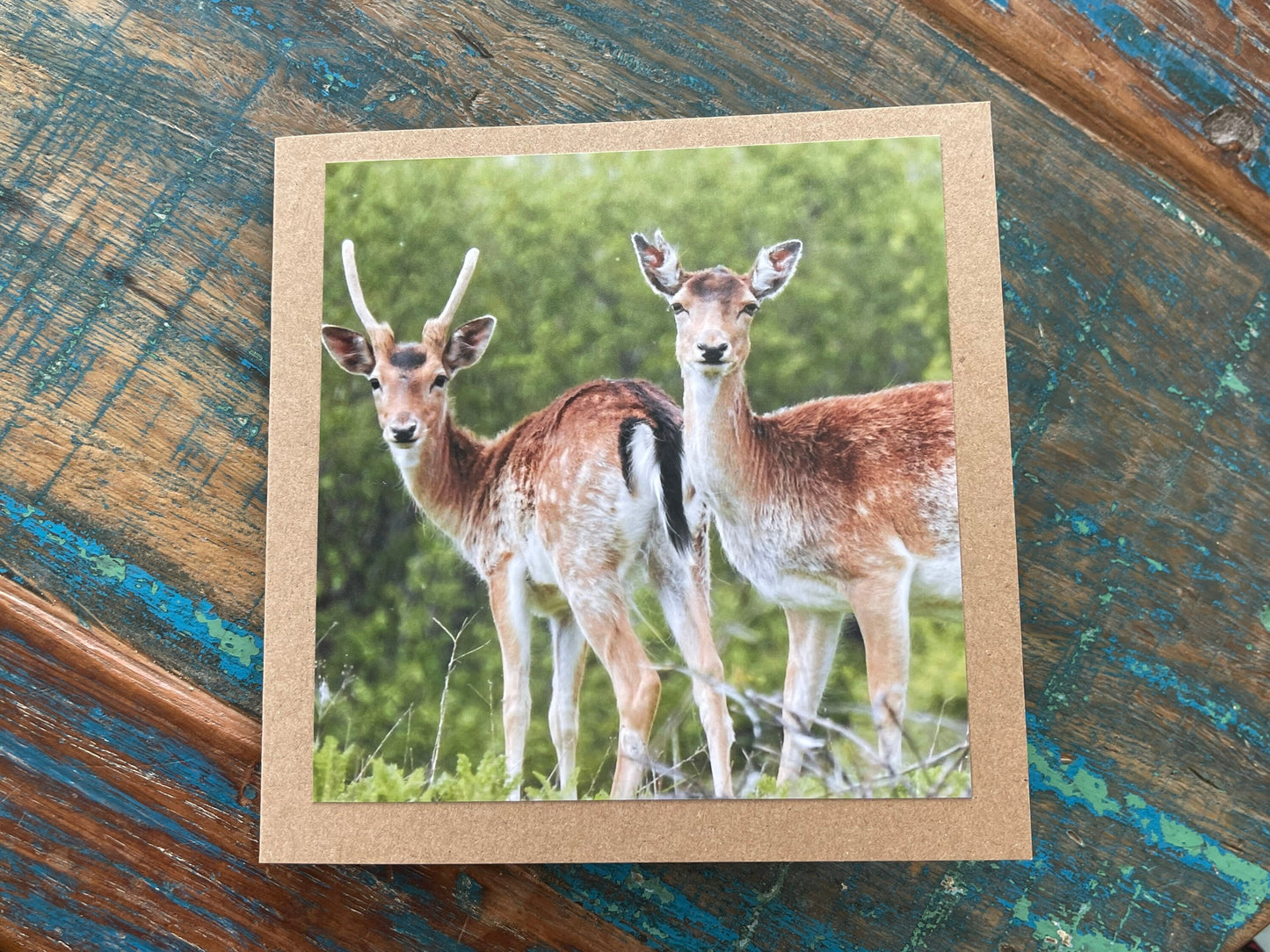 Deer card. Get well soon card, recycled card, birthday card, Eco friendly card. Handmade card. Sympathy card, thank you card, wildlife card