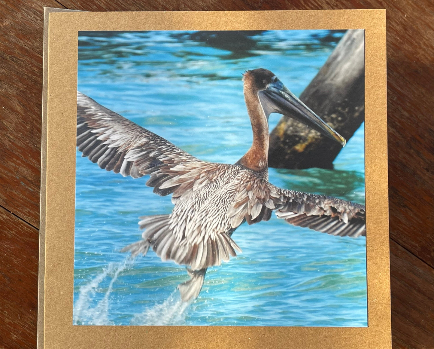 Pelican card, handmade card, gift for her, nature card. Recycled card, eco friendly card. Wildlife photo card, bird card, seaside card boho