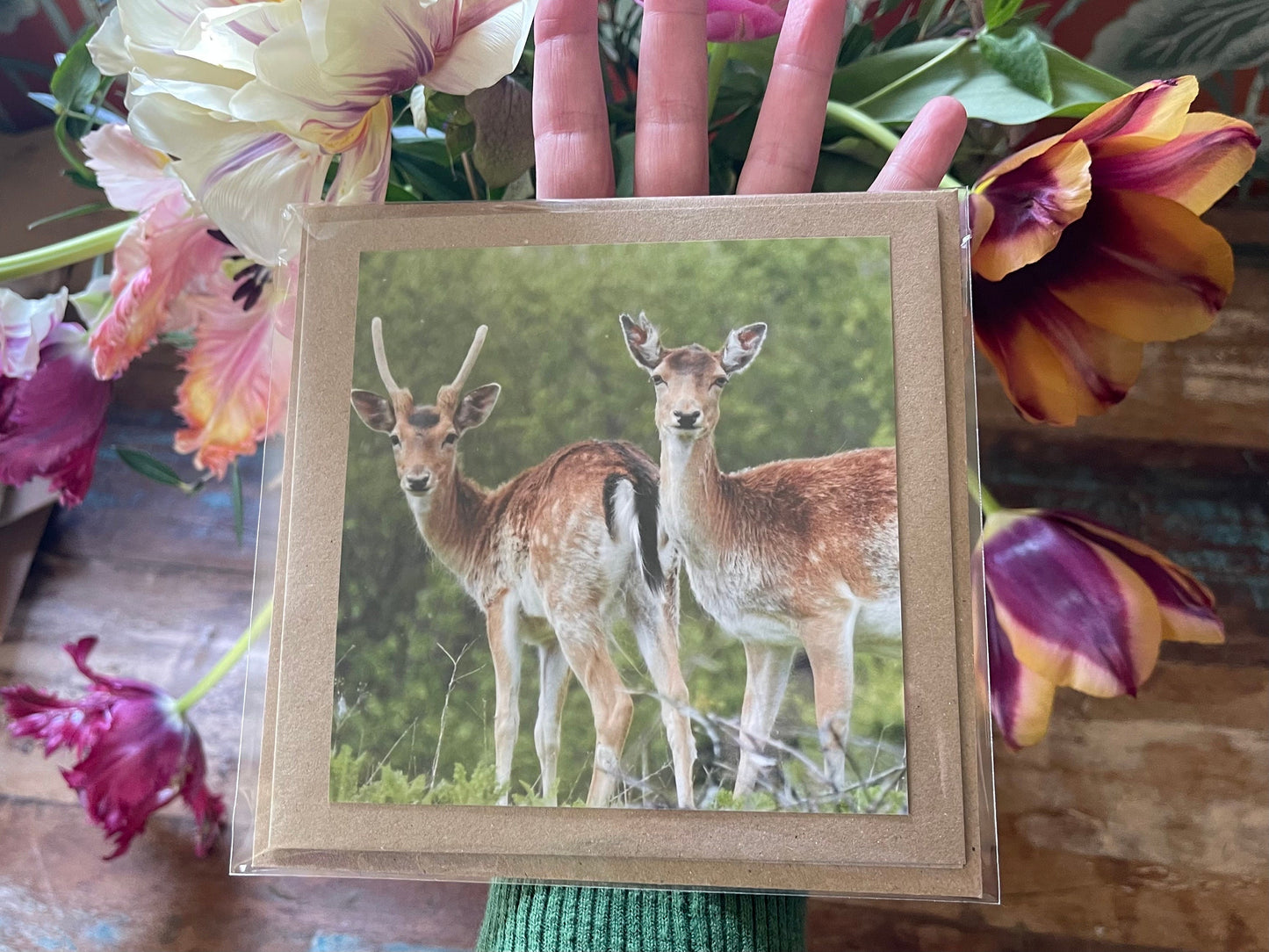 Deer card. Get well soon card, recycled card, birthday card, Eco friendly card. Handmade card. Sympathy card, thank you card, wildlife card