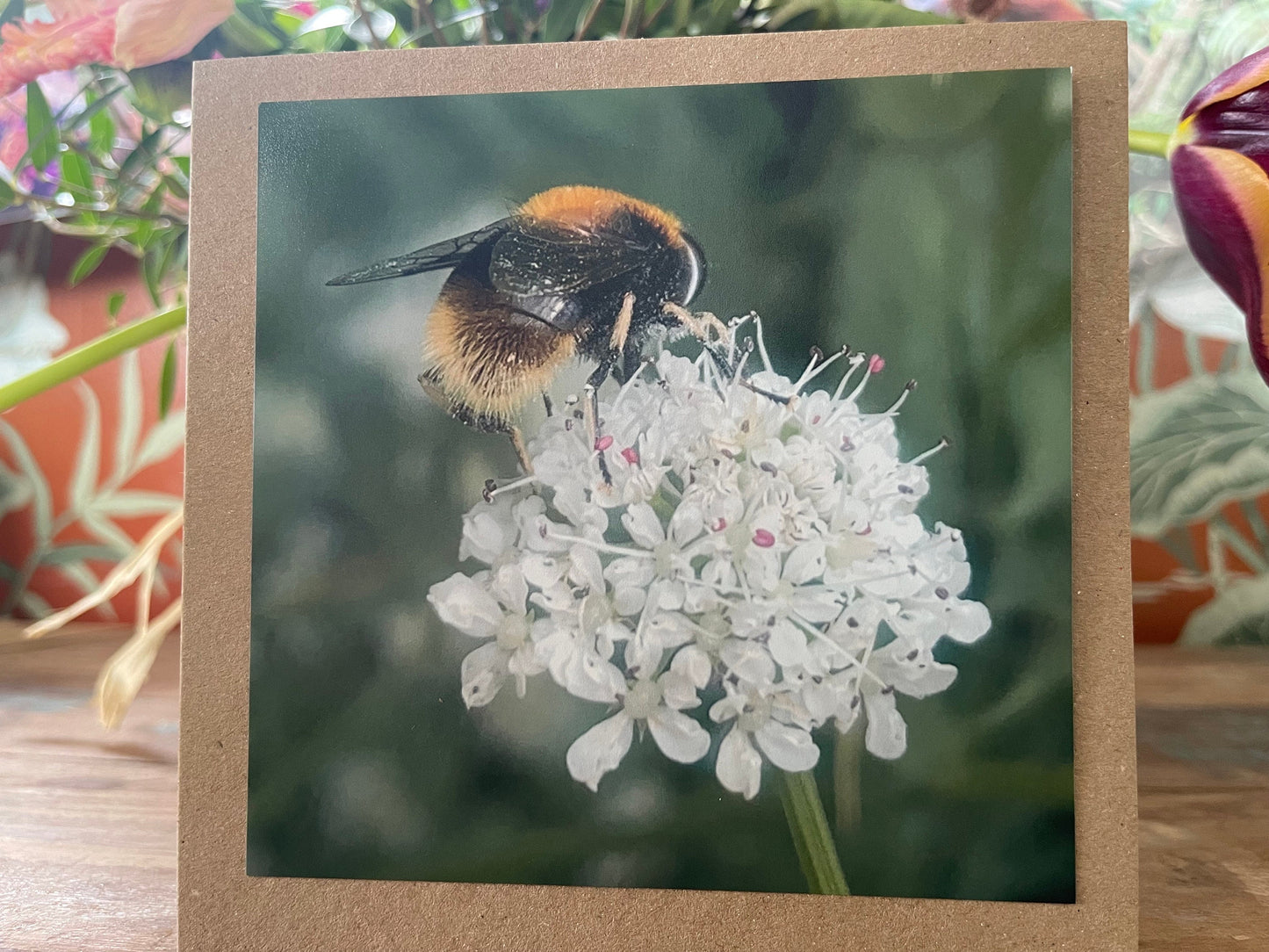 Bee card, recycled card, birthday card. Eco friendly card. Handmade card. Thank you card, blank gift card, English nature card, gift for her