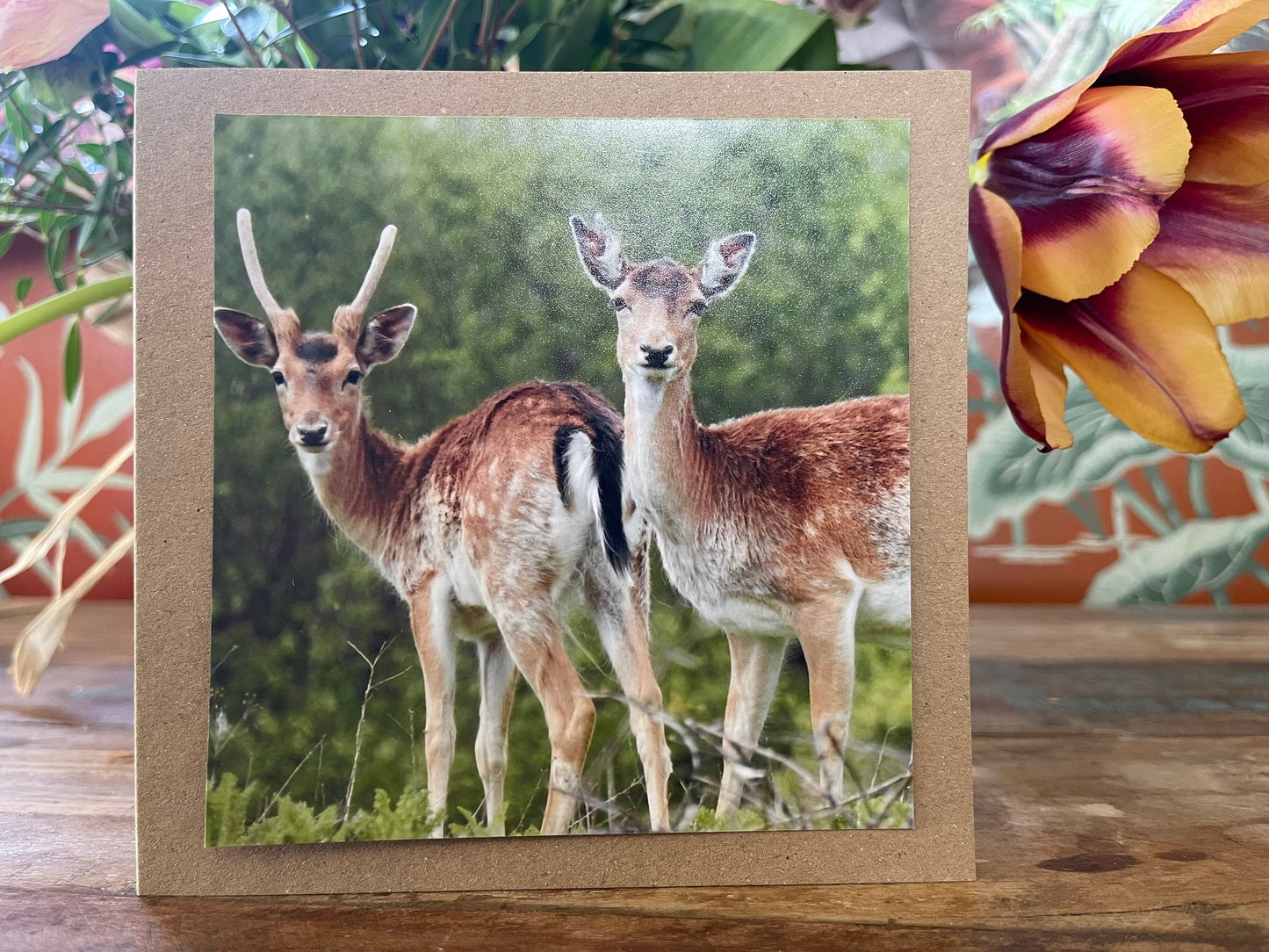 Deer card. Get well soon card, recycled card, birthday card, Eco friendly card. Handmade card. Sympathy card, thank you card, wildlife card