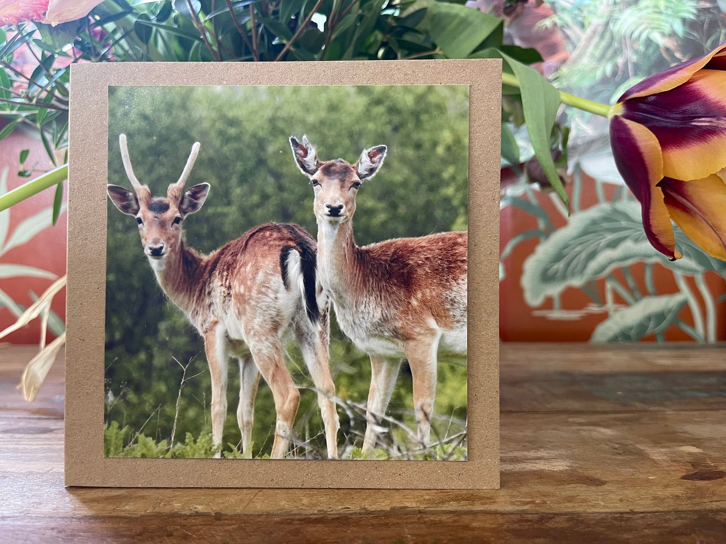 Deer card. Get well soon card, recycled card, birthday card, Eco friendly card. Handmade card. Sympathy card, thank you card, wildlife card