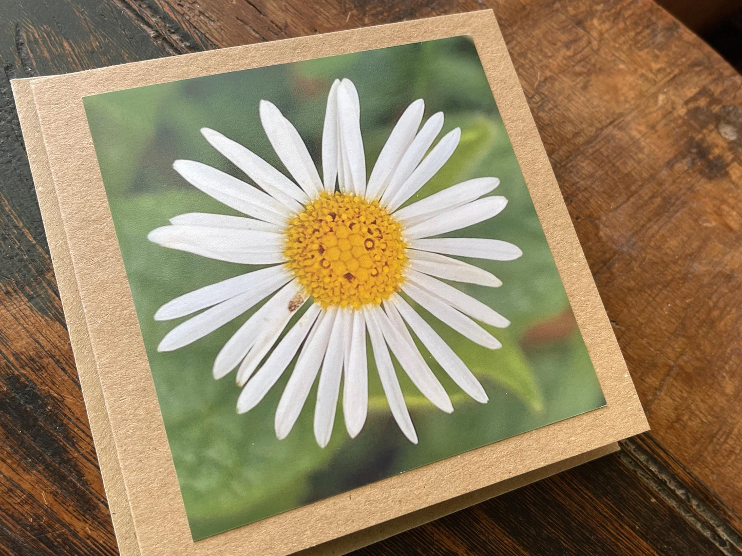 recycled Daisy card, eco friendly card, flower card. Birthday card, handmade card, thank you card, boho card for gardener, eco cards