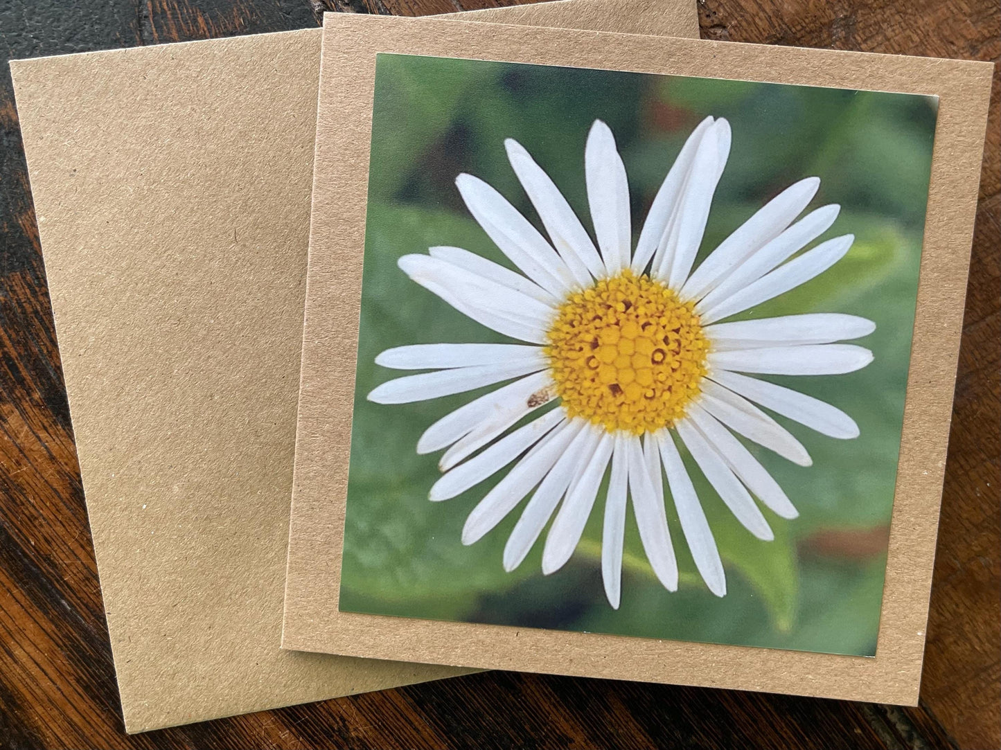 recycled Daisy card, eco friendly card, flower card. Birthday card, handmade card, thank you card, boho card for gardener, eco cards