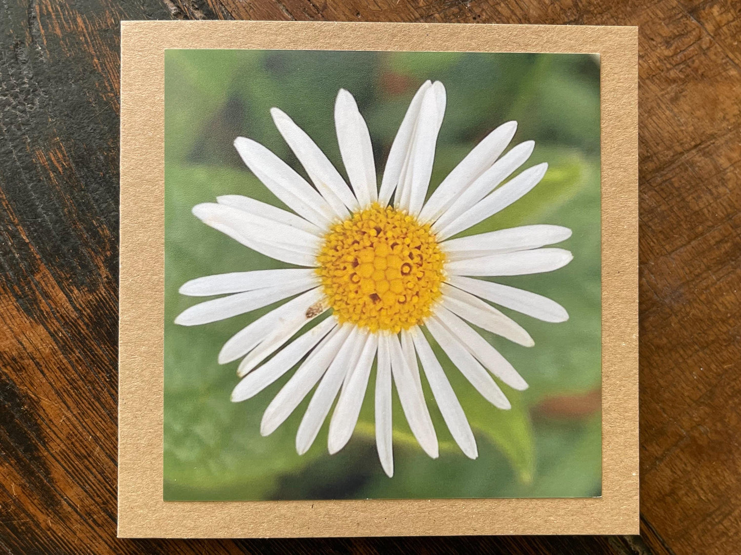 recycled Daisy card, eco friendly card, flower card. Birthday card, handmade card, thank you card, boho card for gardener, eco cards