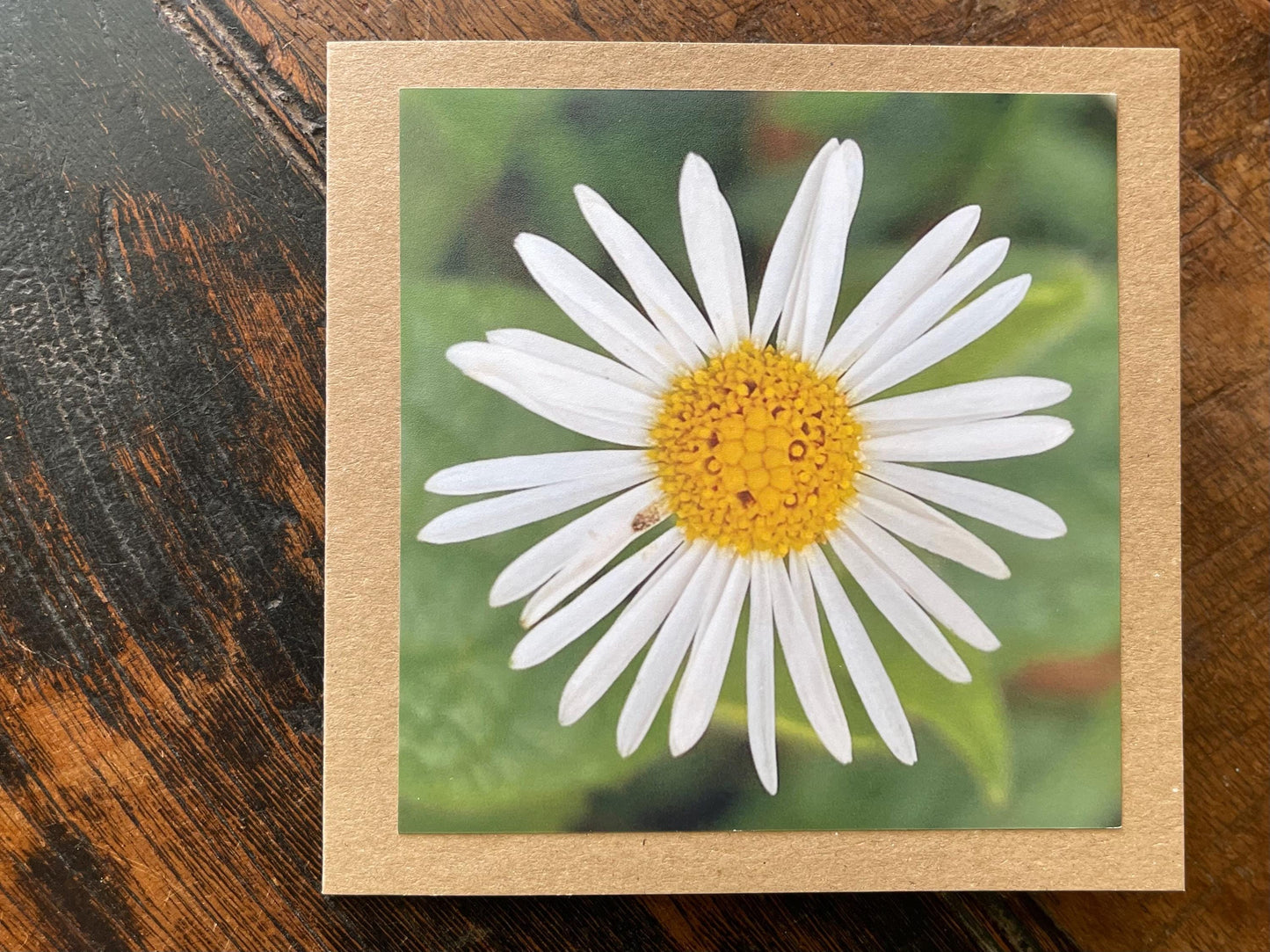 recycled Daisy card, eco friendly card, flower card. Birthday card, handmade card, thank you card, boho card for gardener, eco cards