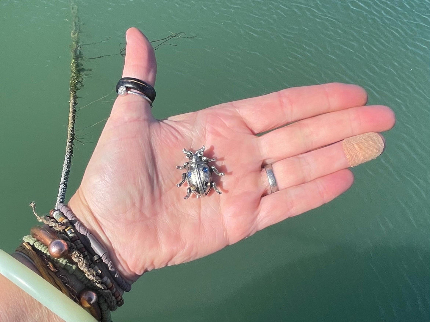 Beetle brooch, vintage brooch, vintage jewellery, retro jewellery, eco friendly gift for her, ethical jewellery, beetle pin. Insect brooch.