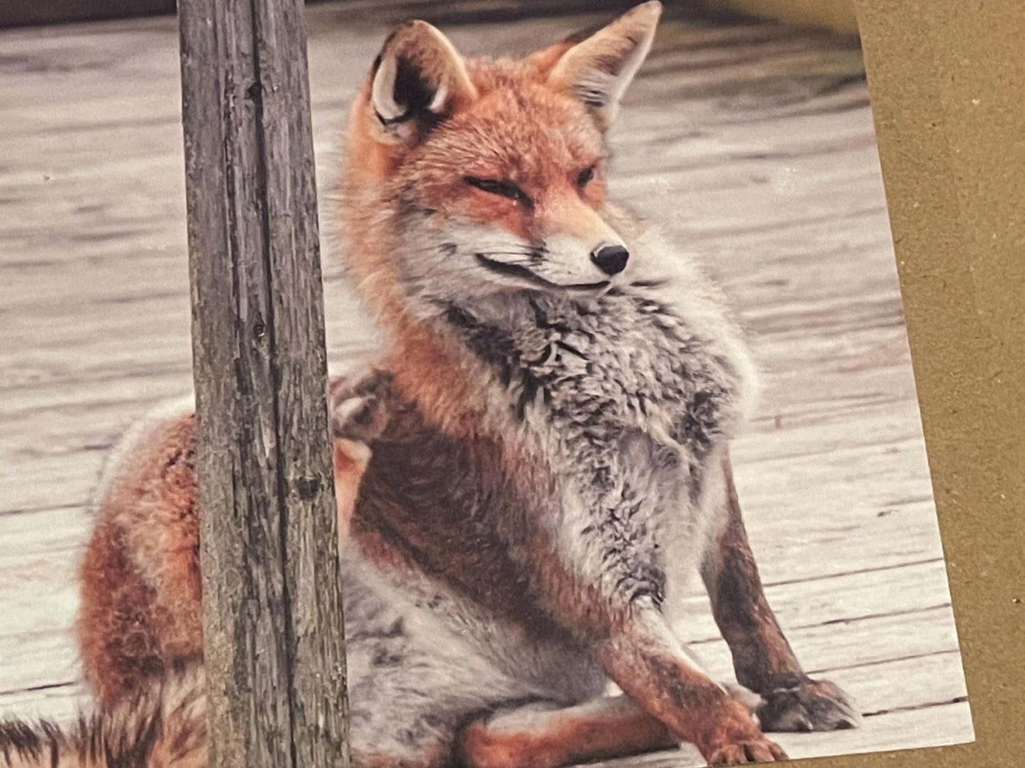 Fox card, recycled card, nature card, birthday card, recycled card. Eco friendly gift card. Handmade card. Blank message card. Eco gift.