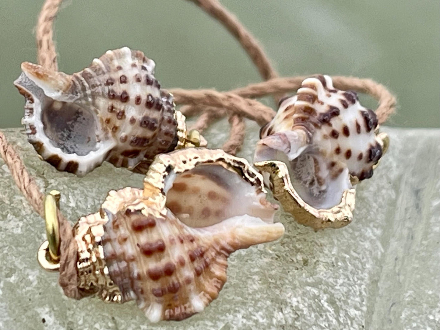 Pretty little painted gold shell necklace held on recycled brass and sustainable hemp. Shell jewellery. Boho jewellery. Eco friendly gifts.