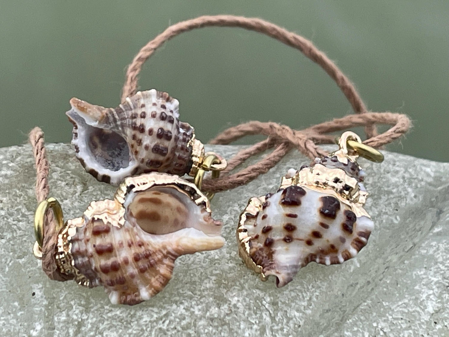 Pretty little painted gold shell necklace held on recycled brass and sustainable hemp. Shell jewellery. Boho jewellery. Eco friendly gifts.