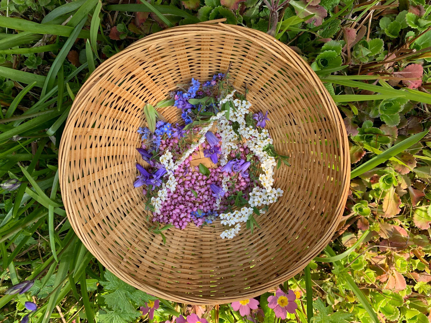 Flower necklace, ethical jewellery, forget me not necklace, handmade necklace, boho jewellery, flower pendant. Remembrance gifts.