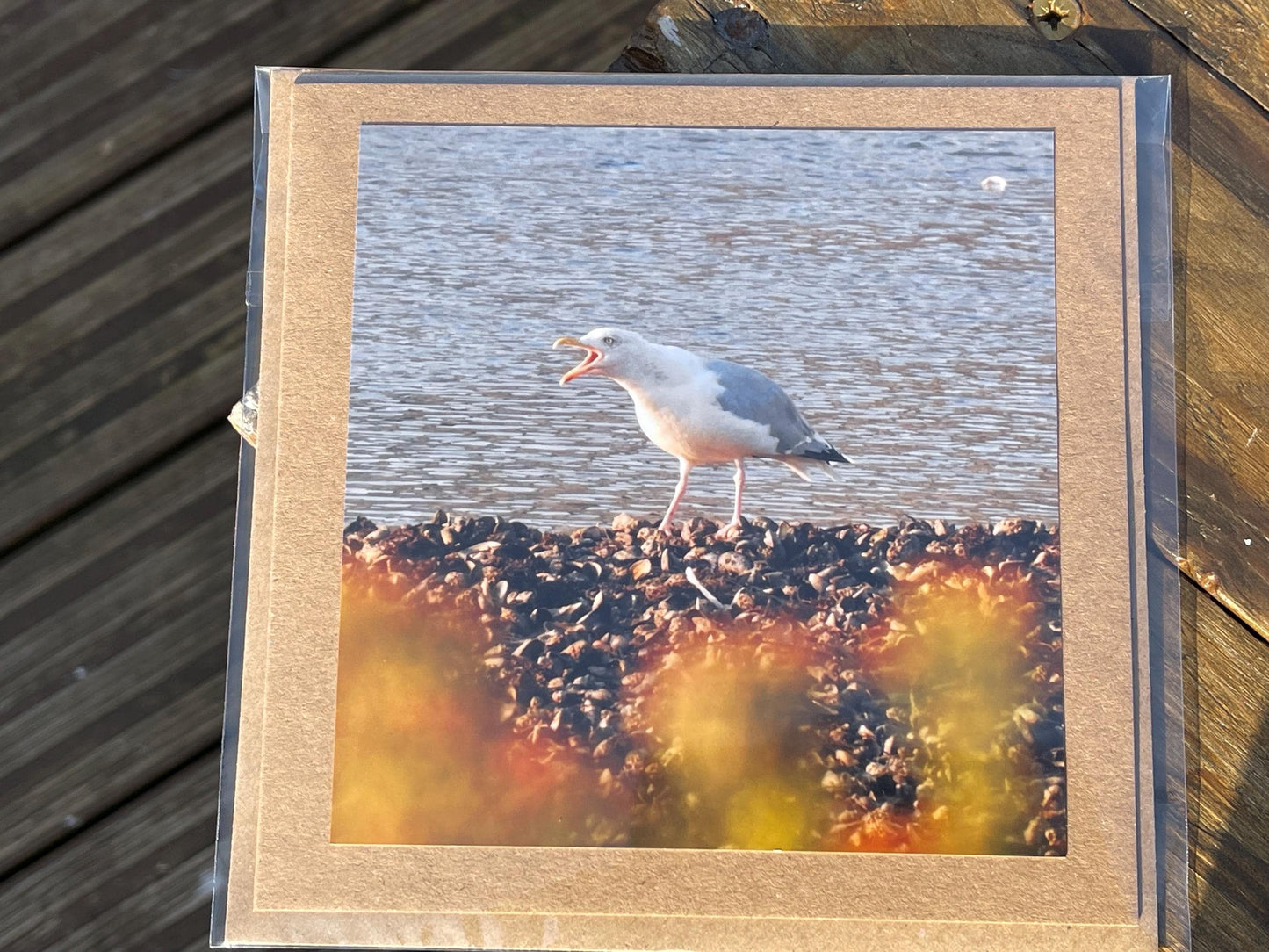 Seagull card, recycled card, handmade card, English wildlife photo card, nature card, blank card, gift for her, gift for him, homemade card