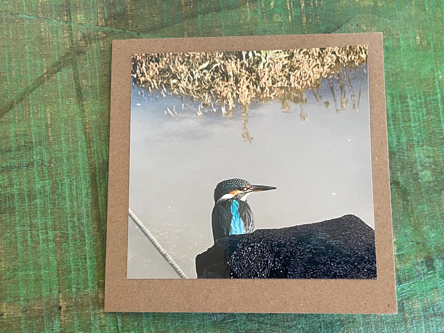 Kingfisher card, handmade card, gift for her, nature card. Recycled card, eco friendly card. Wildlife photo card, bird card, seaside card