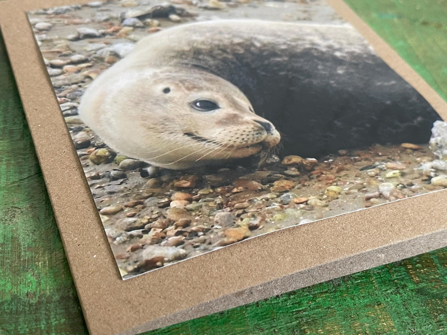 Seal card. Get well soon card, recycled card, birthday card, Eco friendly card. Handmade card. Sympathy card, thank you card, beach card