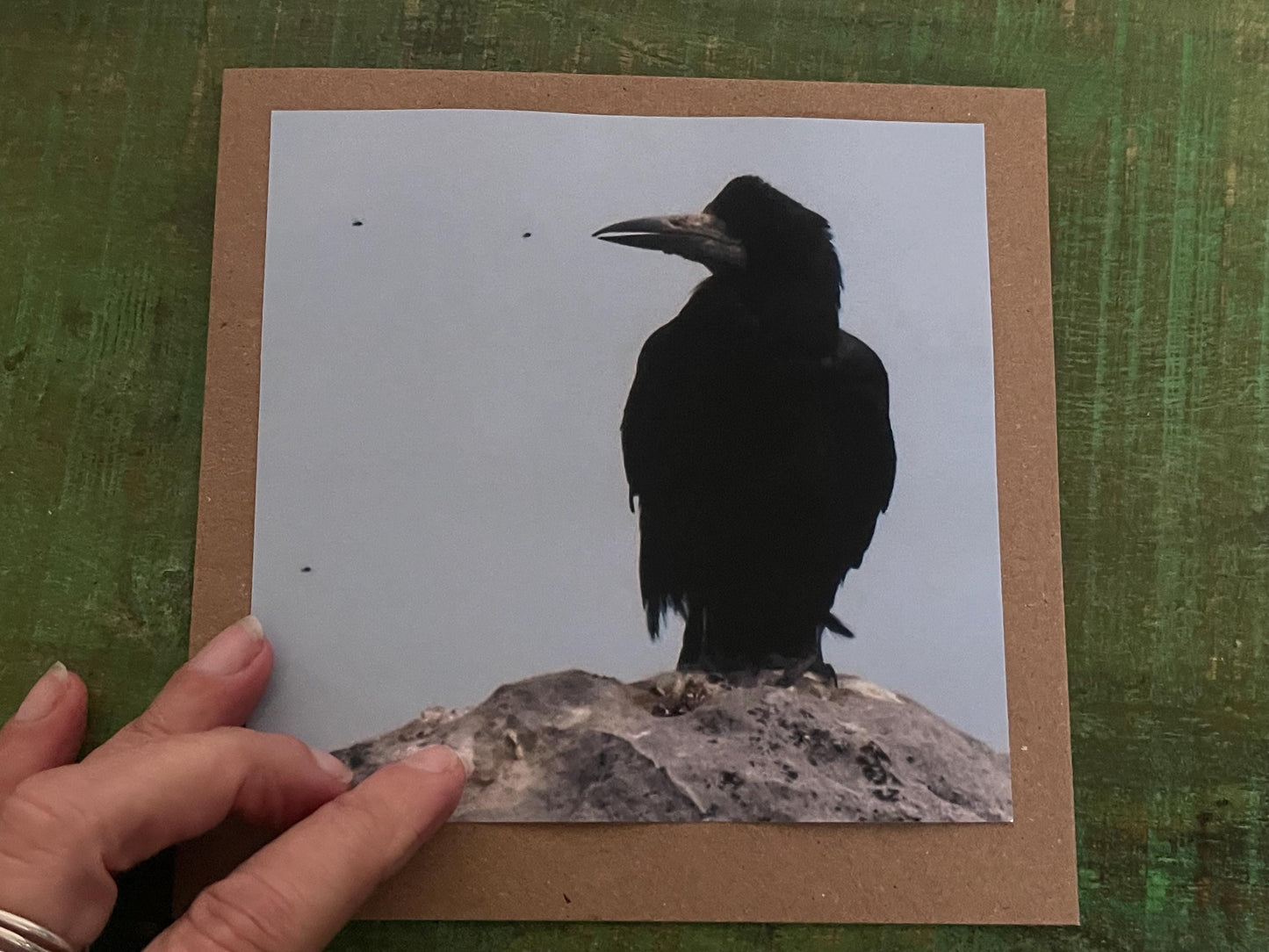 Watching flies - meditation card :) Crow card, recycled card, birthday card, Eco friendly card. Handmade card. Unusual card, blank gift card