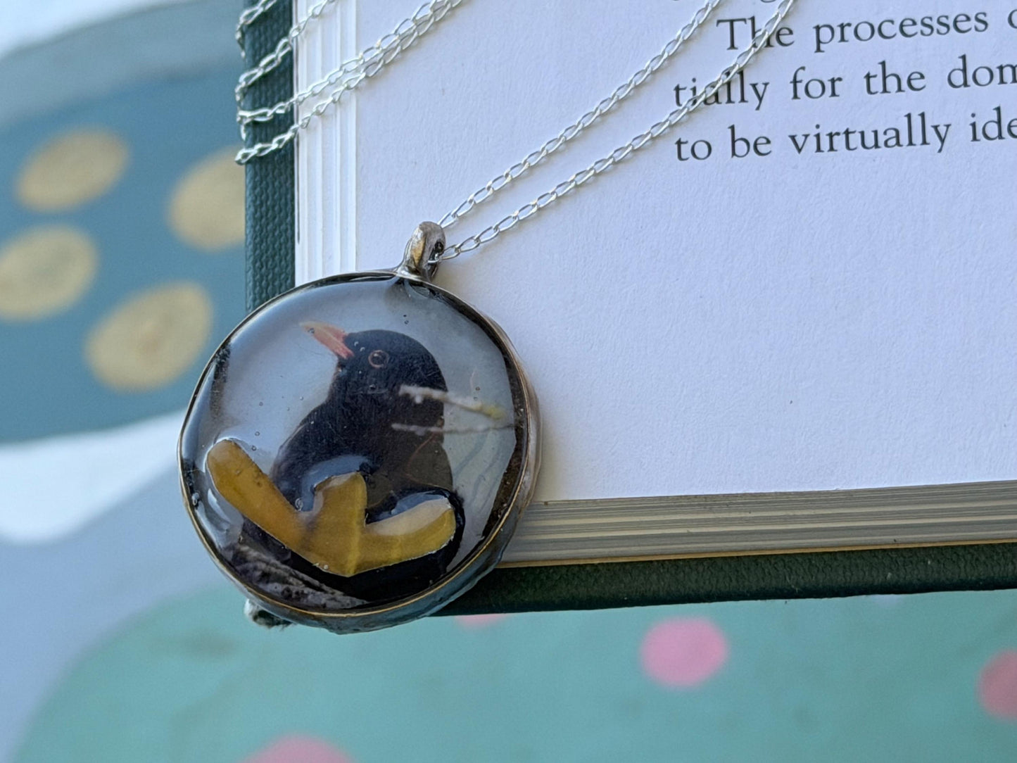Blackbird necklace made with my own photo & recycled sterling silver. Eco friendly jewellery. Wildlife photography. Unique jewellery.