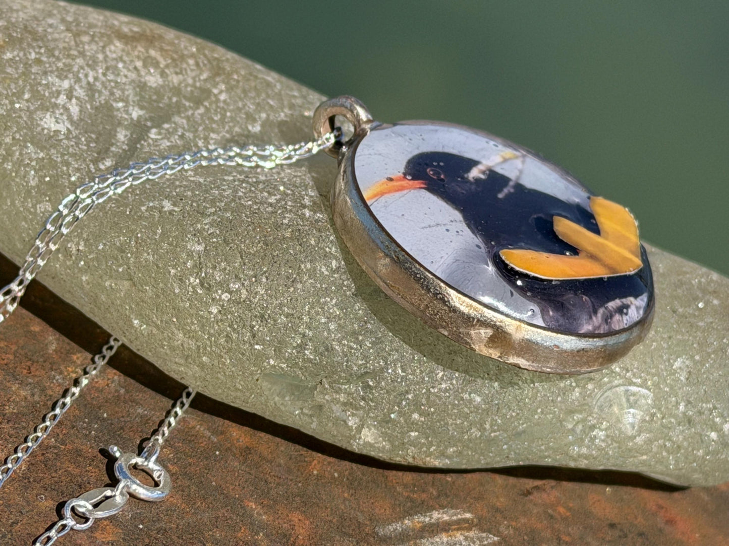 Blackbird necklace made with my own photo & recycled sterling silver. Eco friendly jewellery. Wildlife photography. Unique jewellery.