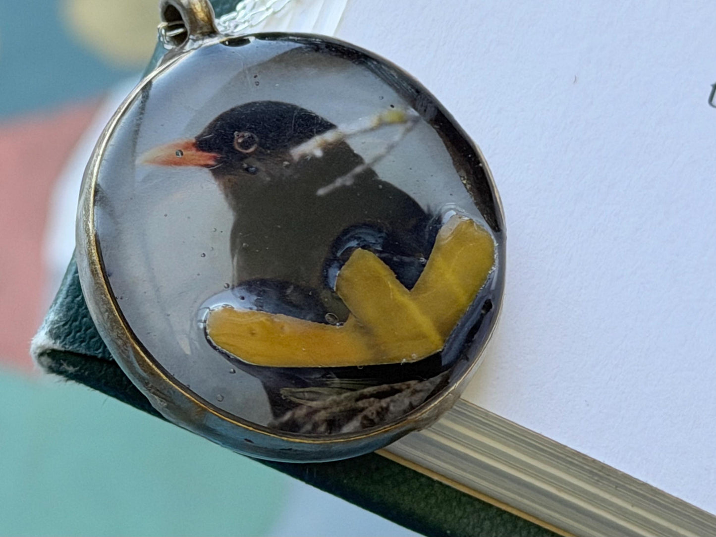Blackbird necklace made with my own photo & recycled sterling silver. Eco friendly jewellery. Wildlife photography. Unique jewellery.