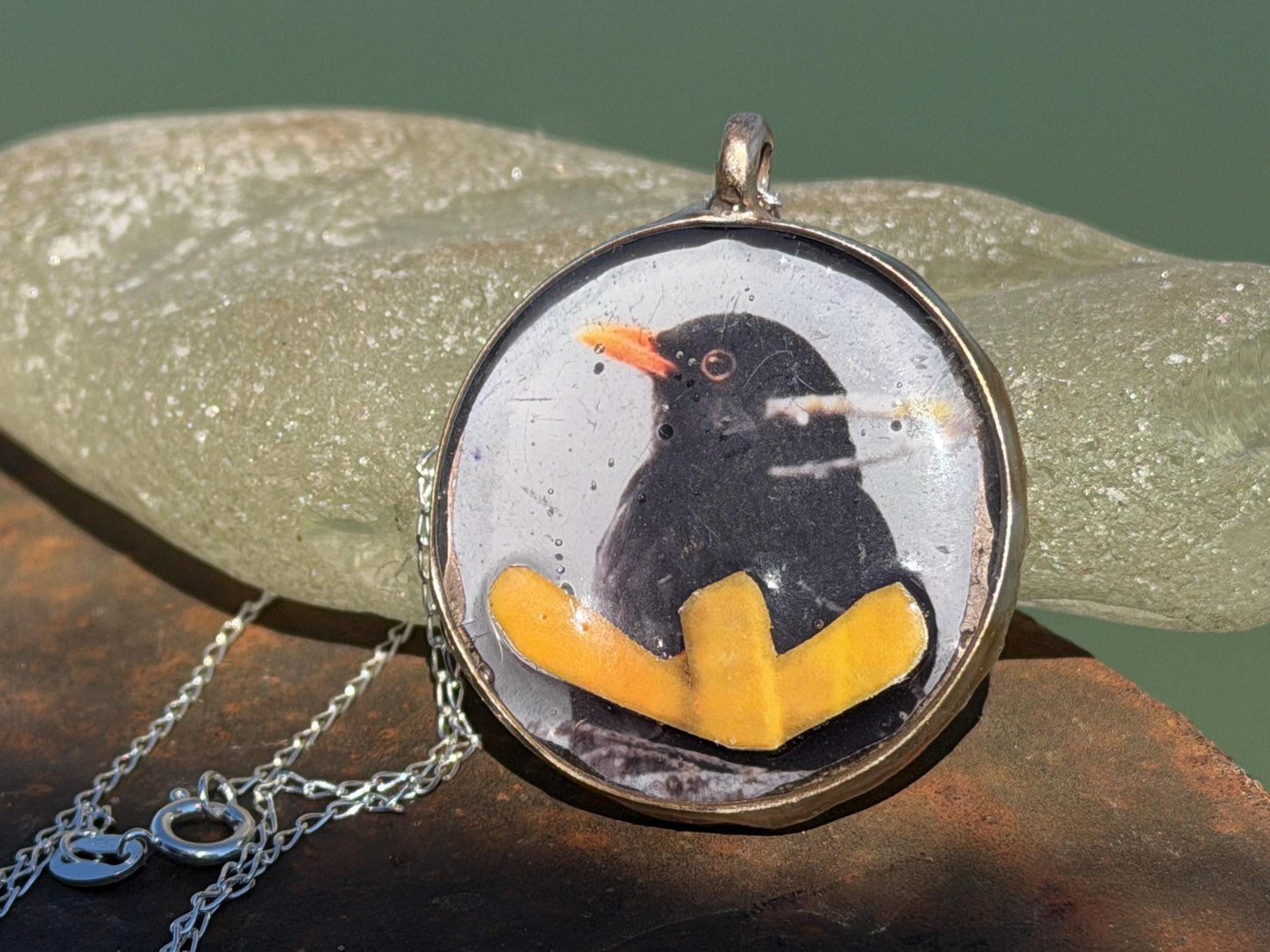 Blackbird necklace made with my own photo & recycled sterling silver. Eco friendly jewellery. Wildlife photography. Unique jewellery.